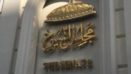 انتخابات الشيوخ 2025