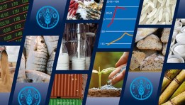  ارتفاع أسعار الغذاء العالمية 