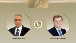 اتصال هاتفي بين وزير الخارجية والهجرة وشئون المصريين بالخارج ووزير خارجية المانيا