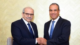 جانب من الاستقبال