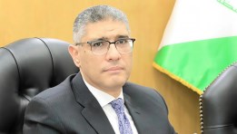 المهندس عادل النجار محافظ الجيزة
