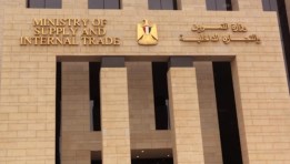وزارة التموين والتجارة الداخلية