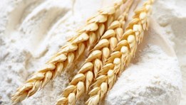 مشروع مطحن دقيق في المجتمعات الريفية