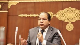  النائب عادل اللمعي، عضو مجلس الشيوخ