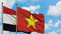 علم مصر وفيتنام