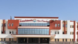 جامعة أسوان 