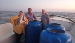 بدء المرحلة الأولى من عمليات إنزال يرقات الجمبري