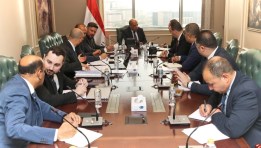 وزير الكهرباء يبحث توطين الصناعات المغذية للمحطات النووية