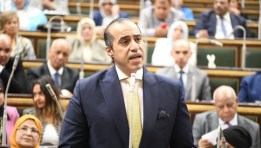 المستشار محمود فوزي وزير الشؤون النيابية والقانونية