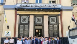 شركة الاسكندرية لتوزيع الكهرباء