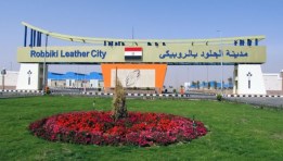  مدينة الروبيكى