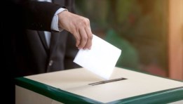 انتخابات مجلس الشيوخ 2025