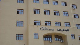 تنسيق المرحلة الثانية لكلية زراعة 