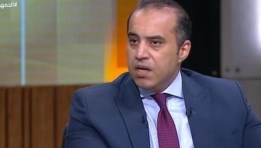 المستشار محمود فوزي وزير الشؤون النيابية والقانونية