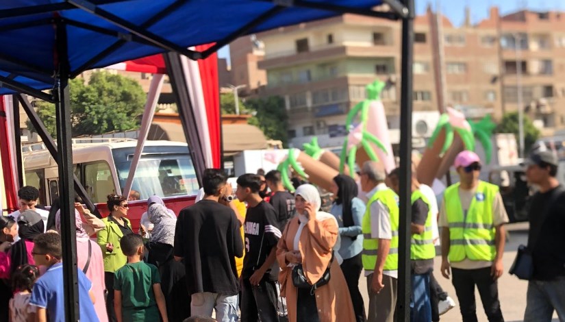 السيدات تدلي بأصواتها في انتخابات مجلس الشيوخ السيدات تدلي بأصواتها في انتخابات مجلس الشيوخ