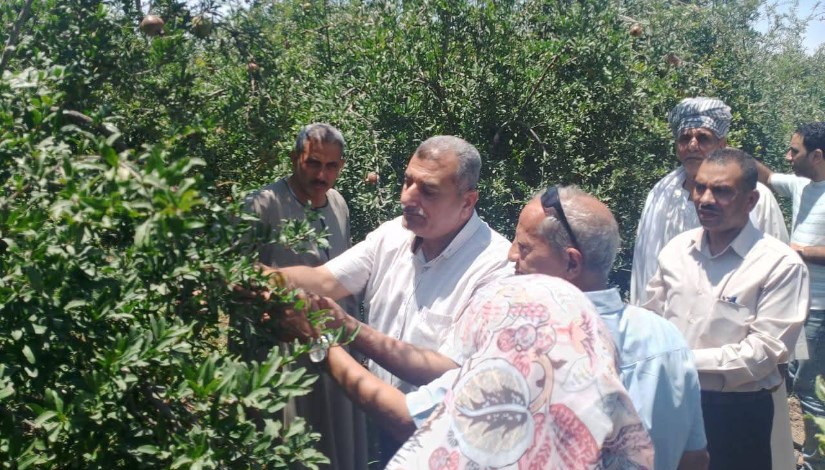 جانب من الارشاد الزراعي جانب من الارشاد الزراعي