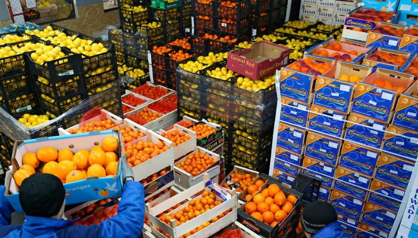 الصادرات الزراعية الصادرات الزراعية