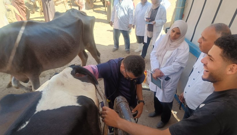 جانب من التلقيح الصناعي جانب من التلقيح الصناعي