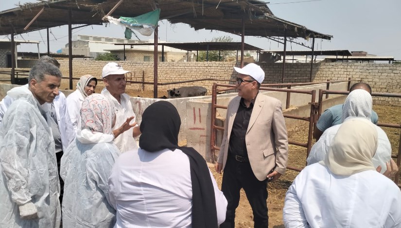 جانب من العمل جانب من العمل