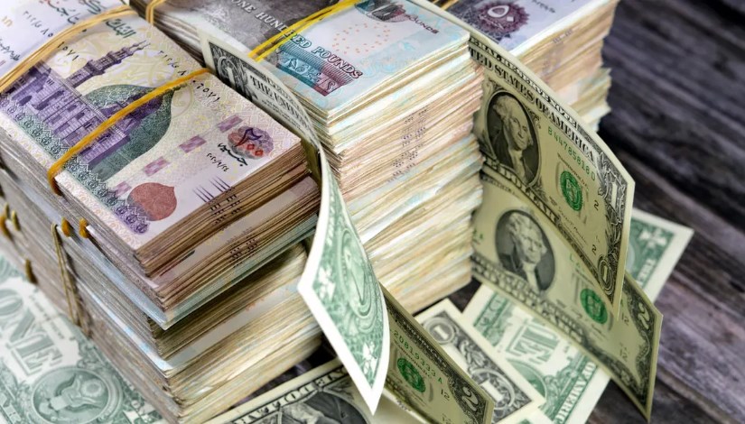الدولار والجنيه المصري الدولار والجنيه المصري