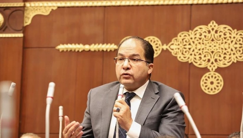  النائب عادل اللمعي، عضو مجلس الشيوخ