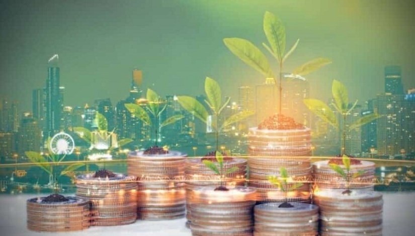 التحول الأخضر - صورة أرشيفية التحول الأخضر - صورة أرشيفية