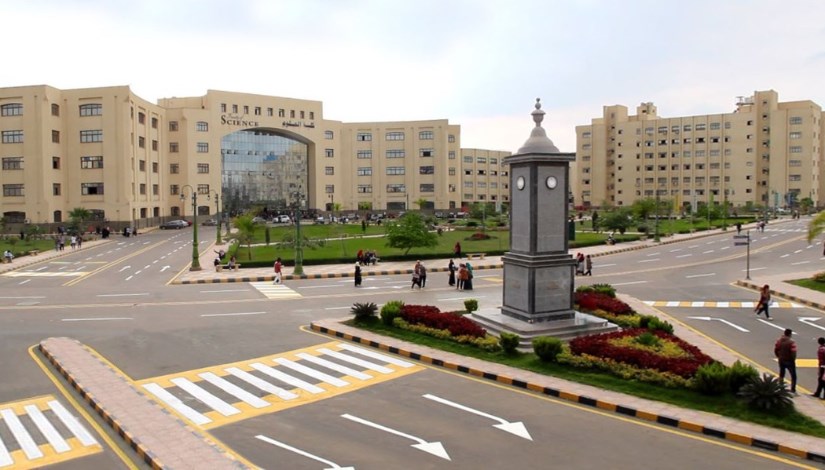 جامعة كفر الشيخ جامعة كفر الشيخ