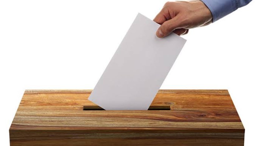 انتخابات مجلس الشيوخ 2025