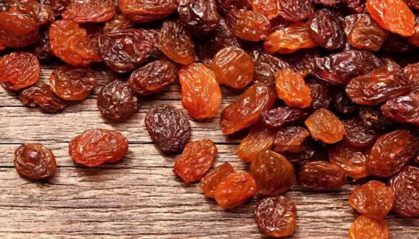 الزبيب- تعبيرية الزبيب- تعبيرية