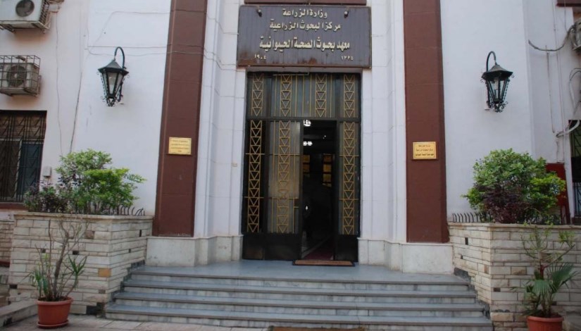 معهد بحوث الصحة الحيوانية