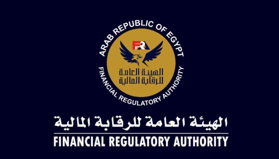 الرقابة المالية