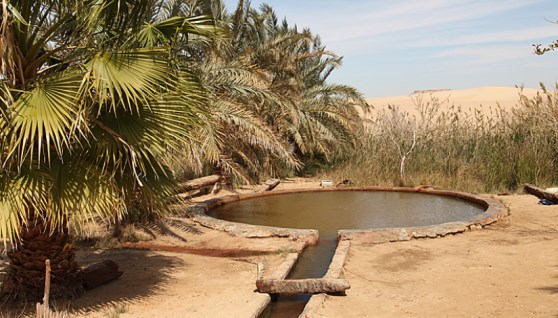 بئر