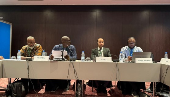 جانب من اجتماع هيئة الدواء بالعاصمة السنغالية داكار
