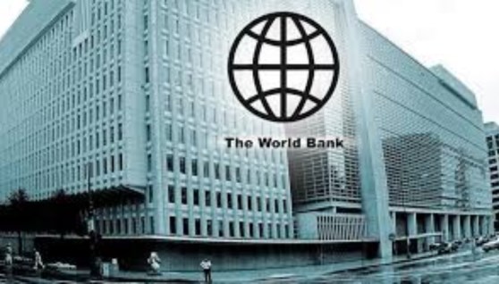 دعم البنك الدولي