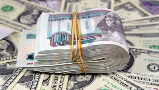 سعر الدولار اليوم 