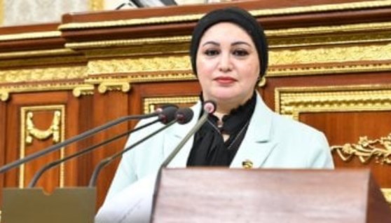  النائبة سولاف درويش وكيل لجنة القوى العاملة بمجلس النواب ورئيس النقابة العامة للعاملين بالبنوك