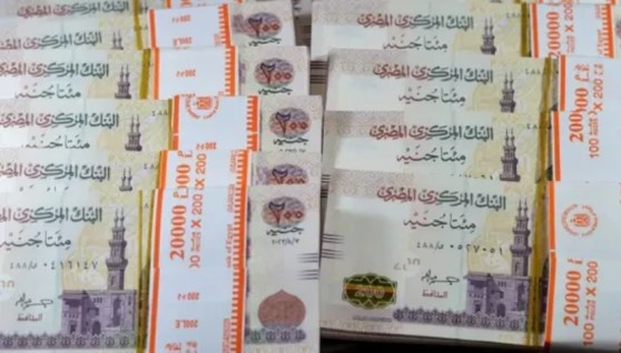  الشهادات السنوية
