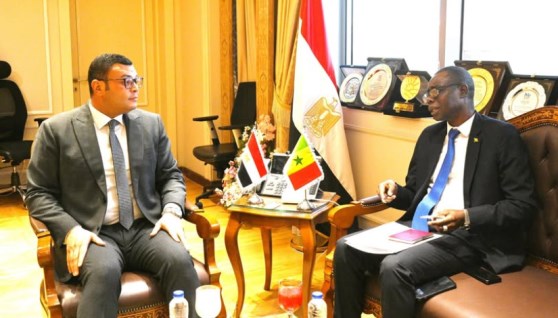 وزير الإسكان يستقبل سفير السنغال لدى القاهرة