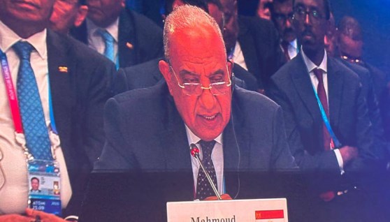 الدكتور محمود عصمت وزير الكهرباء