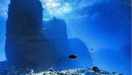 شواهد جديدة تحت البحر المتوسط بموقع معبد تابوزيريس ماجنا