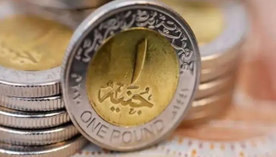جنيه مصري معدني