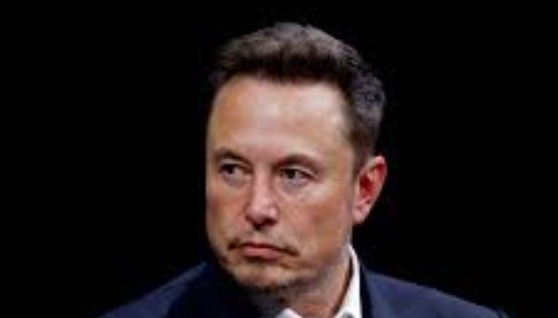 إيلون ماسك إيلون ماسك