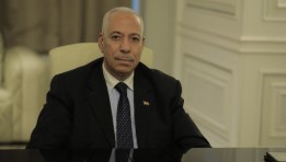 سعيد فؤاد، مستشار رئيس مصلحة الضرائب المصرية