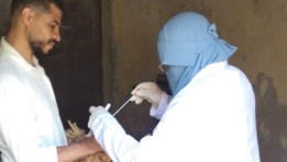 جانب من تحصين الطيور