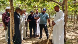جانب من المرور على الزراعات