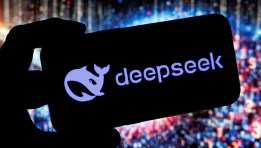 DeepSeek 