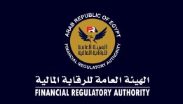 الرقابة المالية