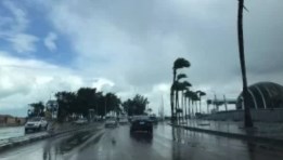 شبورة مائية كثيفة