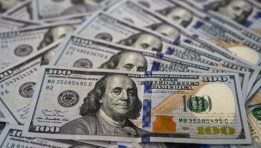 سعر الدولار اليوم 