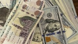  الدولار ينخفض 5% أمام الجنيه المصري 